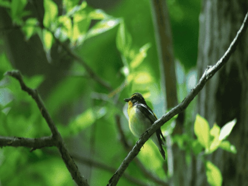 除试管残留的硫(试管的有趣玩法)